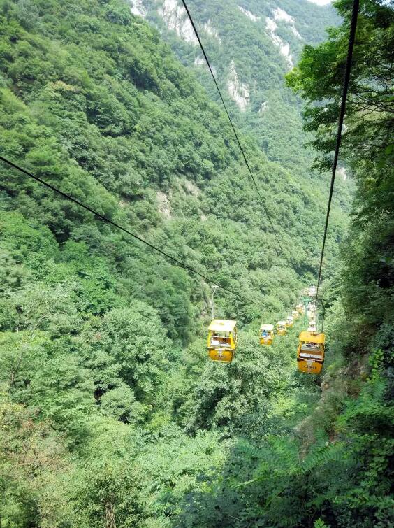 1808091533808642542025.jpg 7.jpg