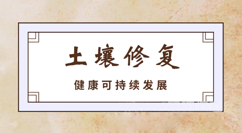 干好土壤修復精細活 這幾大要素缺一不可