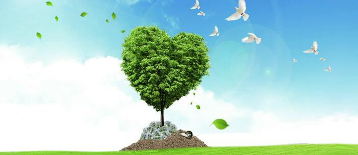 資源環(huán)境審計加碼助力污染防治