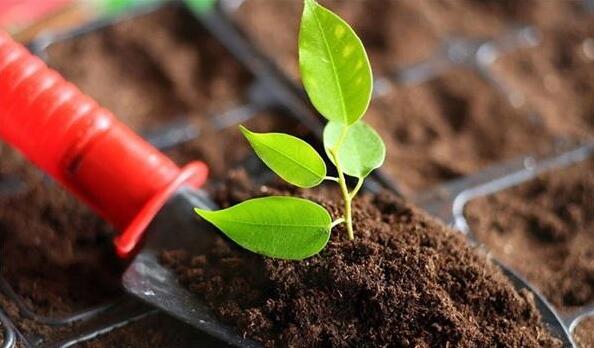 環資委:土壤污染防治法今年有望頒布 建議將長江保護法列入立法規劃