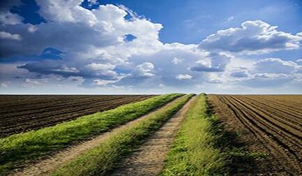 2017年土壤修復行業發展評述和2018年發展展望