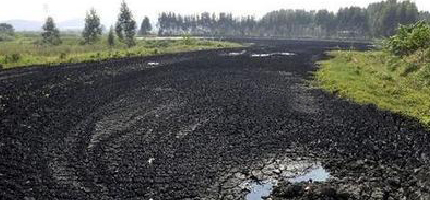 5bacca3b600e7 (1).jpg