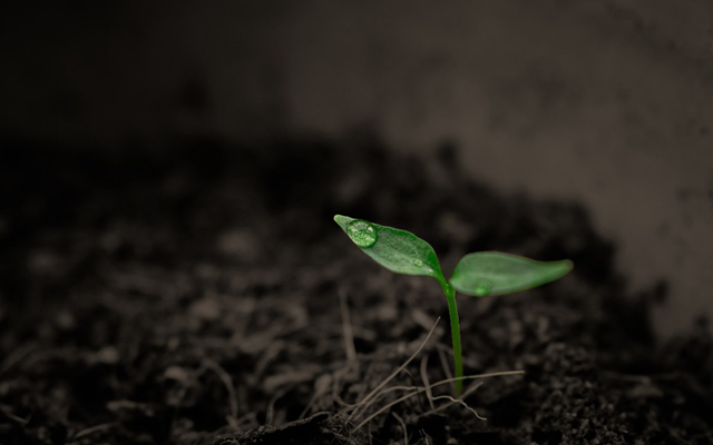 土壤修復市場：“十三五”1.3萬億，長遠6萬億