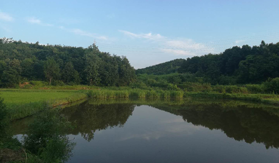  環保2019年度策略：一場輪回 終點亦起點