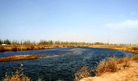 千億級紅利難收割？污泥處置在寒冬中艱難“轉身”