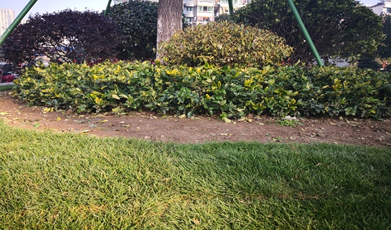 污染場地修復或取消環評，建設用地如何推進土壤污染治理？