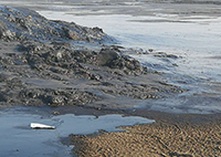 含油污泥處理難，原因何在？